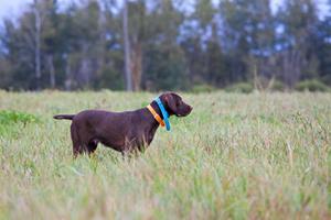 A850F2C1-lm0w9875a.jpg