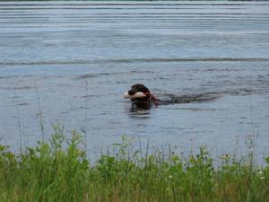 A8C7B48D-img_2646.jpg