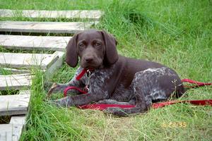A910E0DA-ppy...sadie_girl.jpg