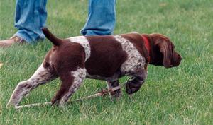 A9169DD9-spencer3.jpg