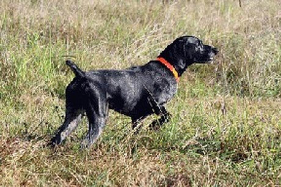 Ranger 