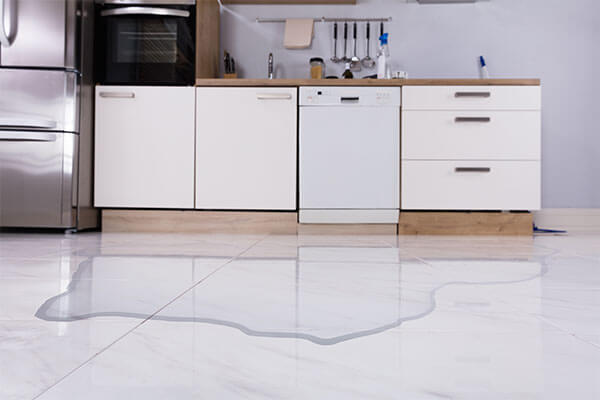Leaking Dishwasher