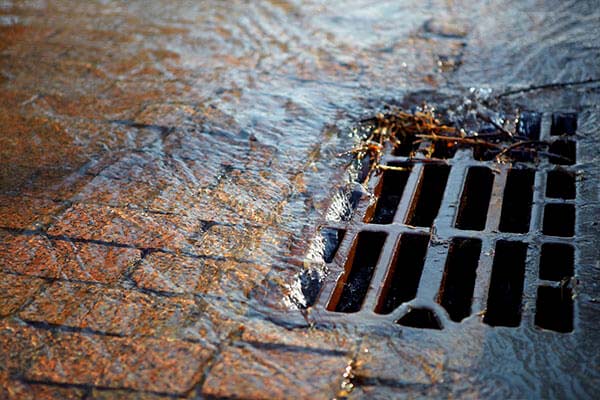 Grey Water Cleanup