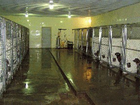 Main Kennel Room Grouse Point Kennels