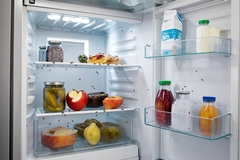 Ants in the Fridge: Why It Happens and How to Stop Them