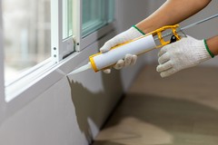 How to Ant Proof Your Home Before Infestations Start
