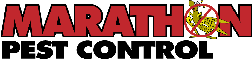 Marathon Pest Control