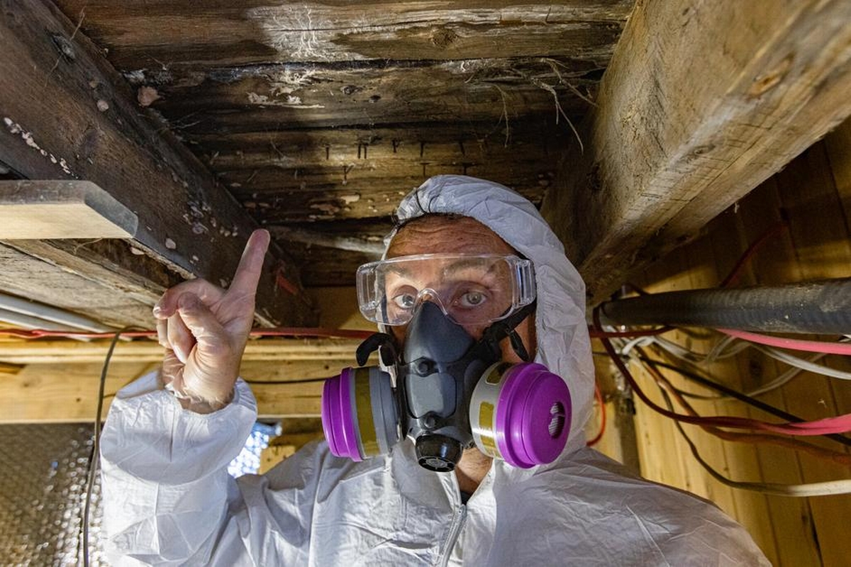 Restoration Heroes: Inspiring Stories and Innovative Solutions in the Industry