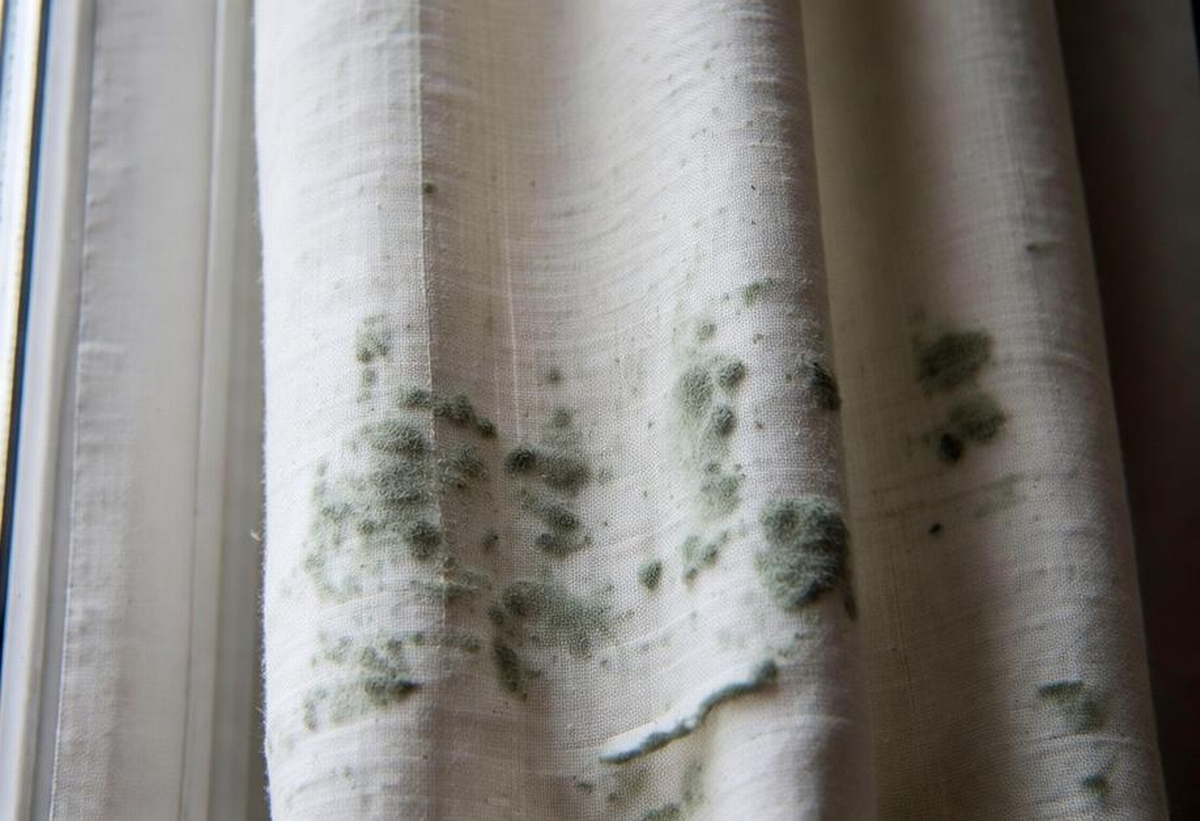 Mold on Curtains: Causes, Cleaning, and Prevention