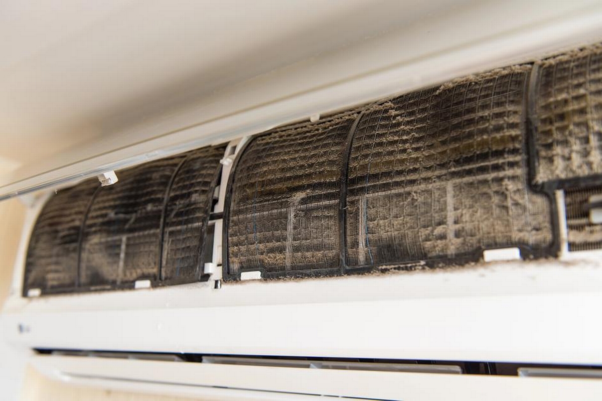 Black Mold in Air Conditioner Unit: What to Do