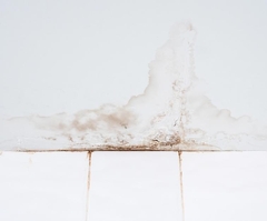 Bathroom Water Damage: Common Causes and Fixes