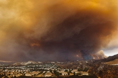 After a Wildfire How Can You Clean Your House Safely and Effectively