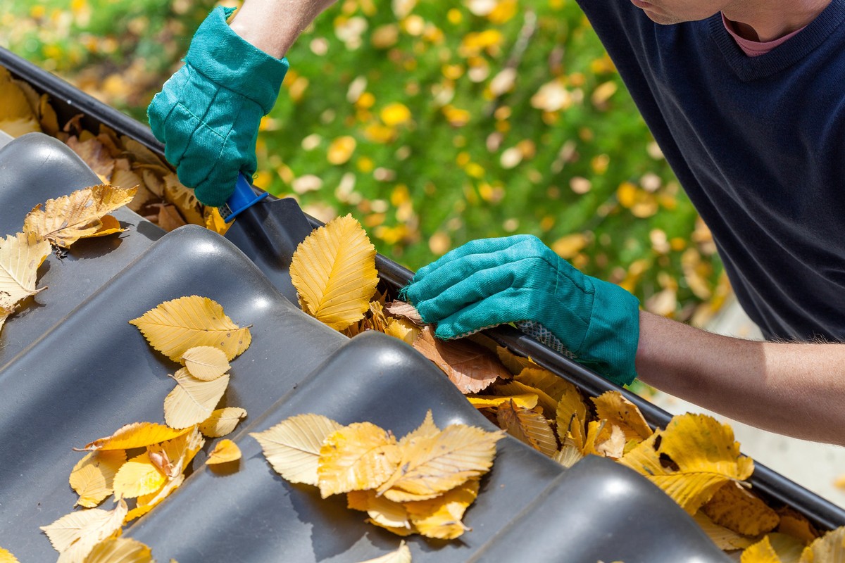 Gutter Mold Prevention Tips for a Cleaner, Healthier Exterior