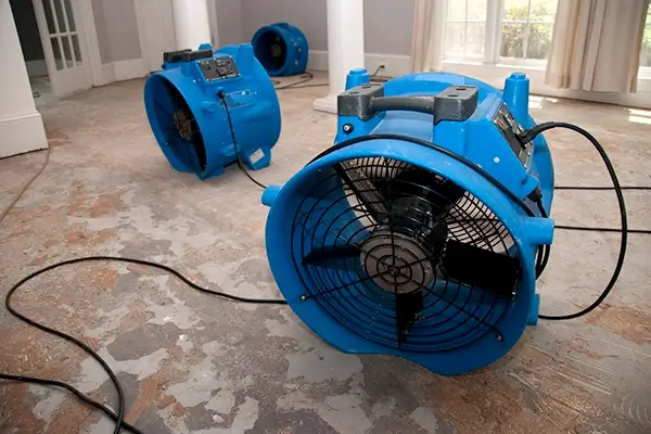 Flood Damage Cleanup