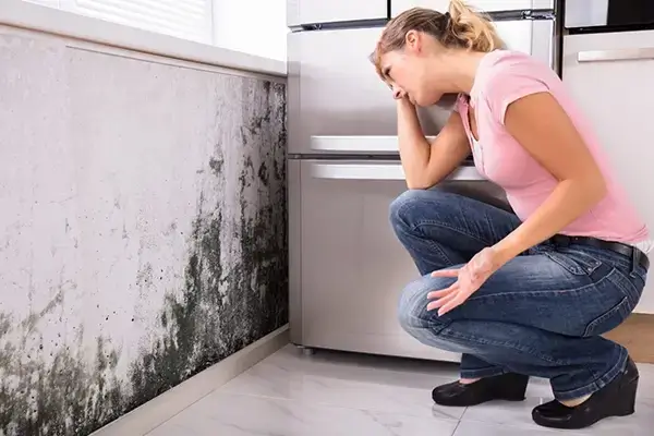 Mold Remediation