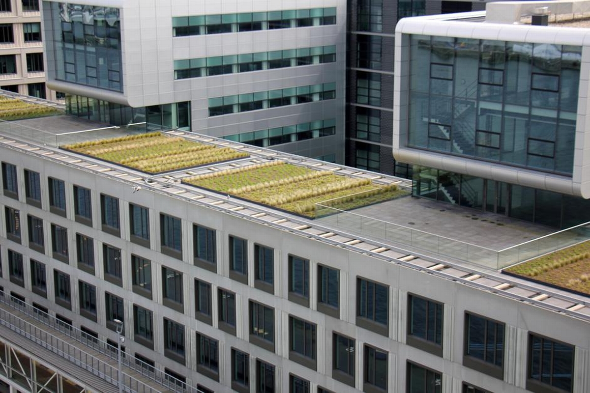 Rising Above the Rest: The Latest Trends in Roof Design for Modern Commercial Properties