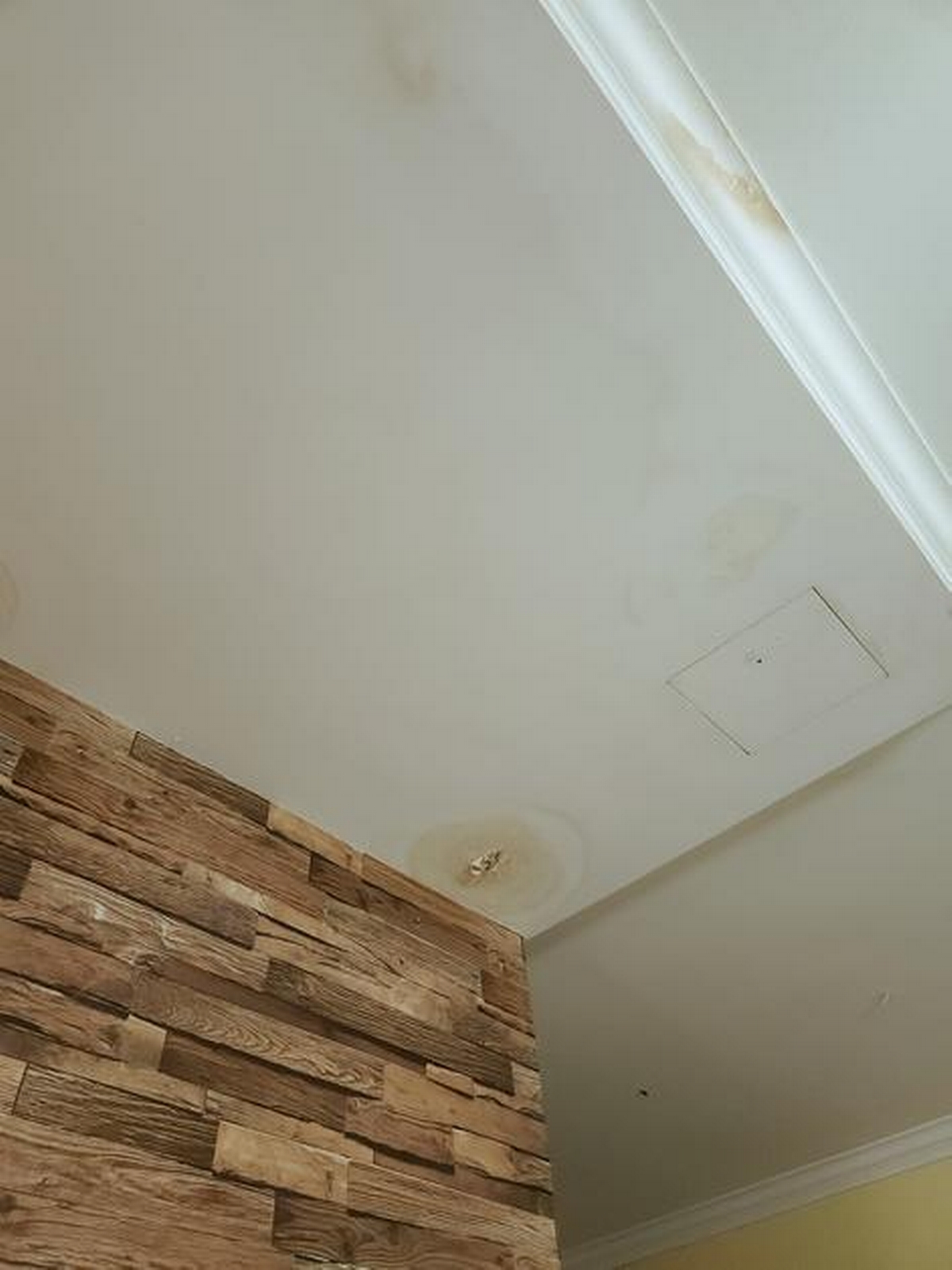 Signs Your Roof Is Leaking and Needs Repair