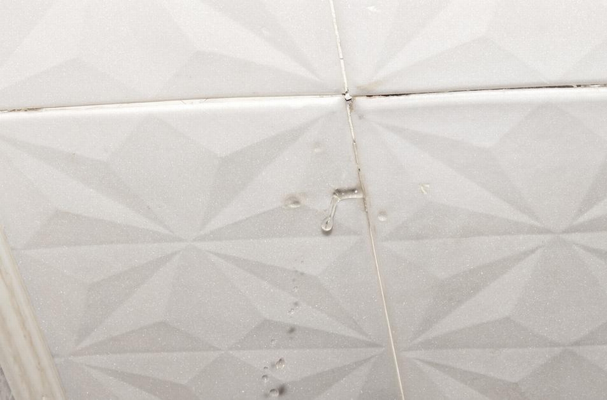 5 Signs Your Roof Is Leaking Every Homeowner Should Know