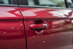 Paint Blisters on Car: Causes and Repair Options