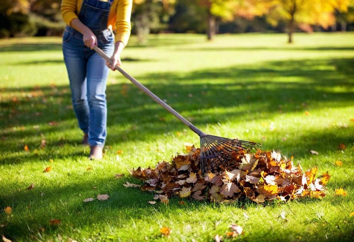 Seasonal Success: Tailoring Your Lawn Care Routine to Boost Year-Round Vibrancy