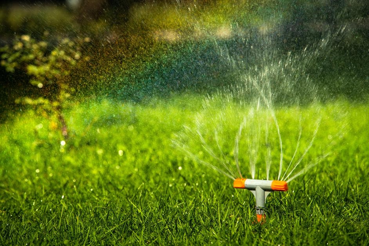 Water-Saving Wonders: Efficient Irrigation Systems for Every Garden