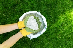 How Often to Fertilize Lawn in Wausau Without Overfeeding Your Grass