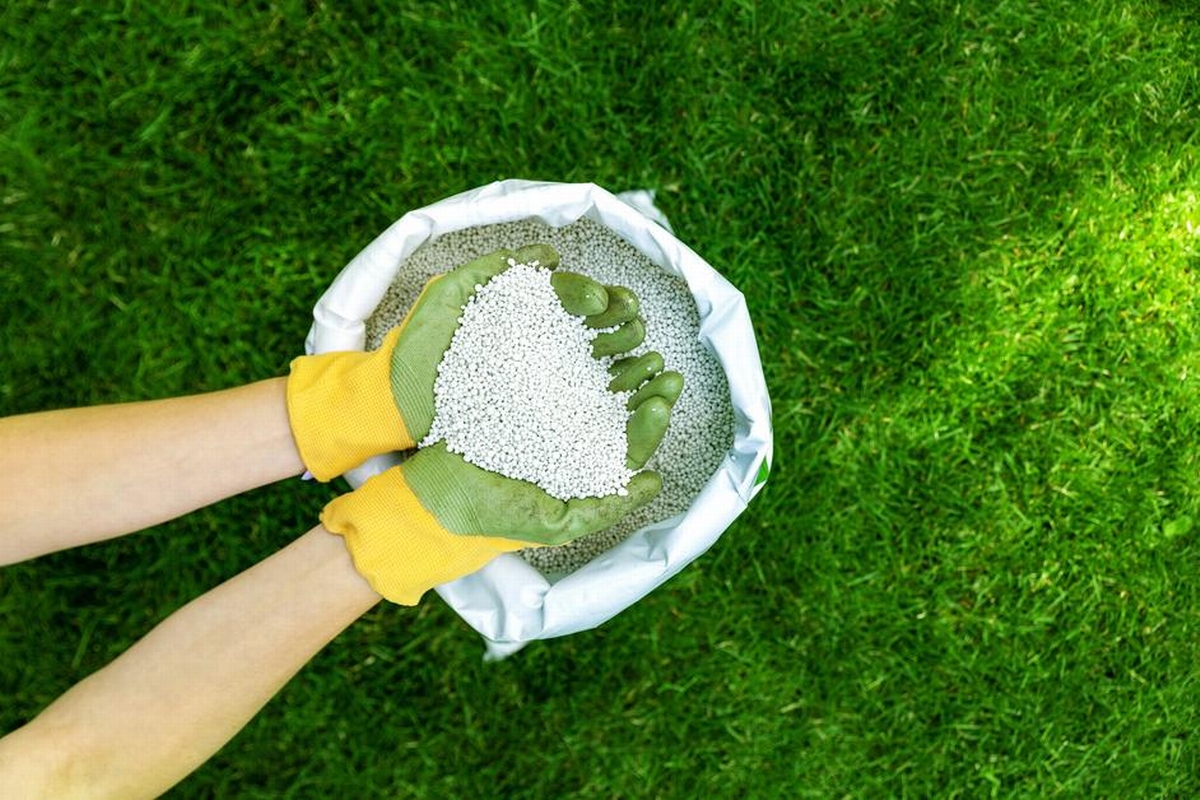 How Often to Fertilize Lawn in Wausau Without Overfeeding Your Grass