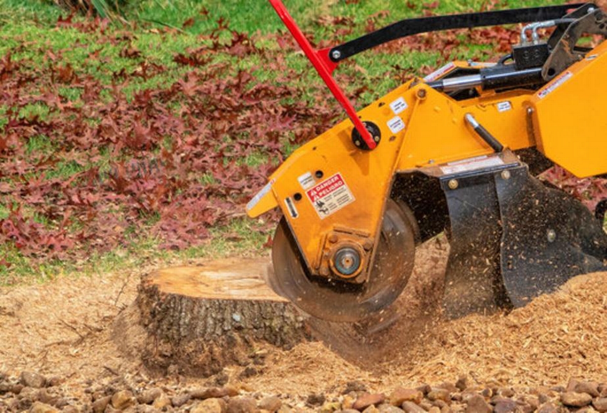How Long Does It Take to Grind a Tree Stump?
