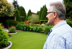Is Landscaping a Capital Improvement for Your Property?