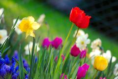 Think Spring!!