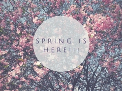 The warm weather is coming!!