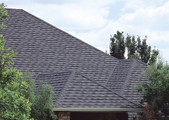 Roof: Metal or Asphalt?