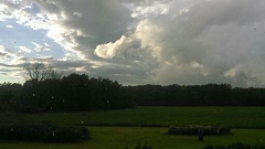 Bad Weather? Get A Steel Roof!