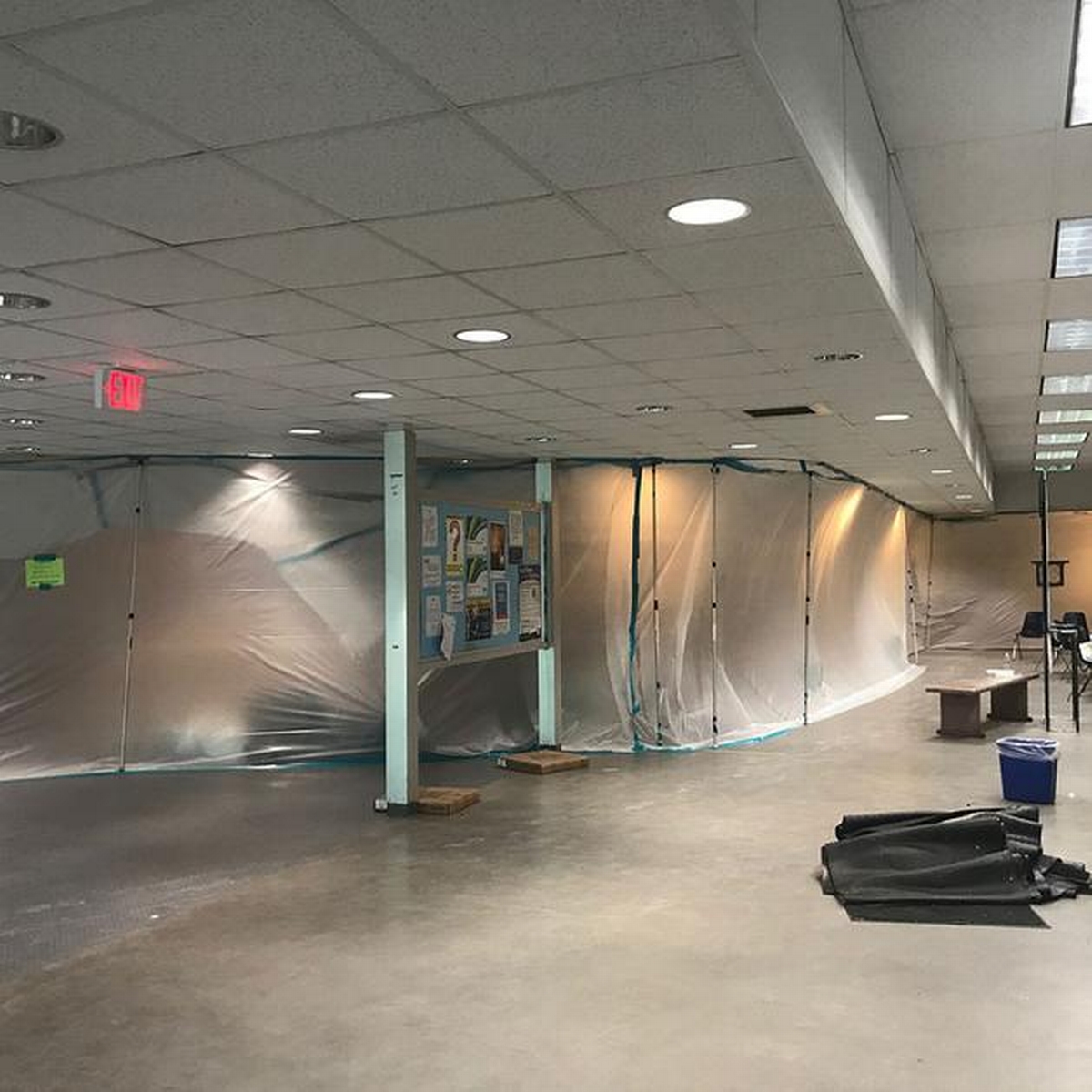 How to Address Mold Damage in Office Buildings Quickly