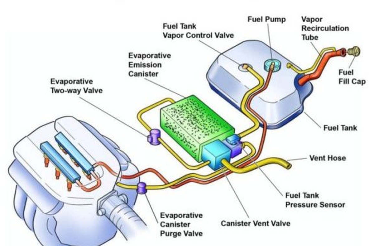 Car Evap System Diagram