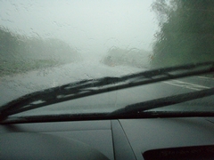 Auto Select's Guide to Windshield Wiper Replacement