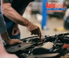 Recommended Vehicle Maintenance Schedules
