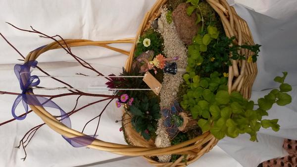 Fairy gardens and Succulents