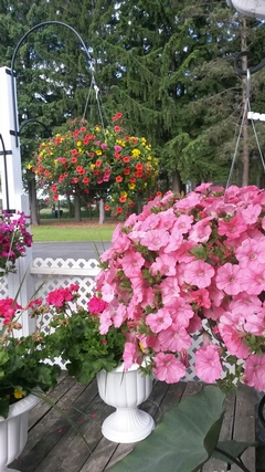 Beautiful Baskets