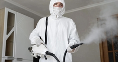 Does Your Home Insurance Cover Mold Remediation and Removal?