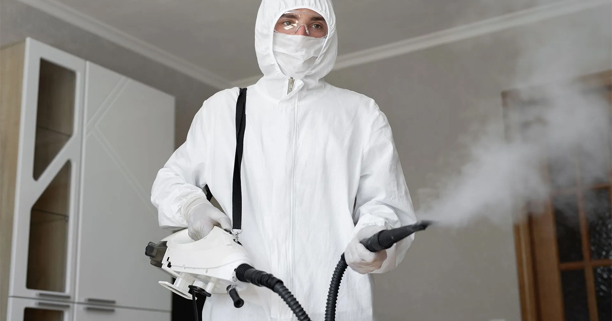 Does Your Home Insurance Cover Mold Remediation and Removal?