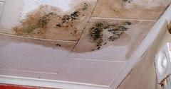 Why Immediate Water Damage Restoration Is Important