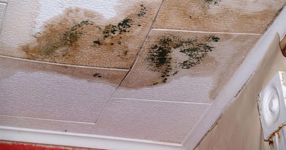 Why Immediate Water Damage Restoration Is Important