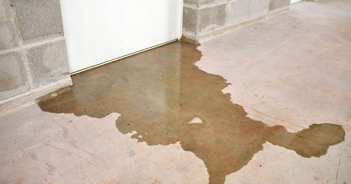 How Water Restoration Services Can Help You After a Storm