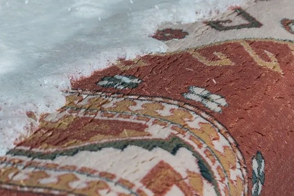 Oriental & Area Rug Cleaning in Southeast Minnesota and Western Wisconsin