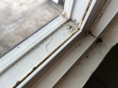 Cleaner Windows Start Here: How to Clean Window Tracks
