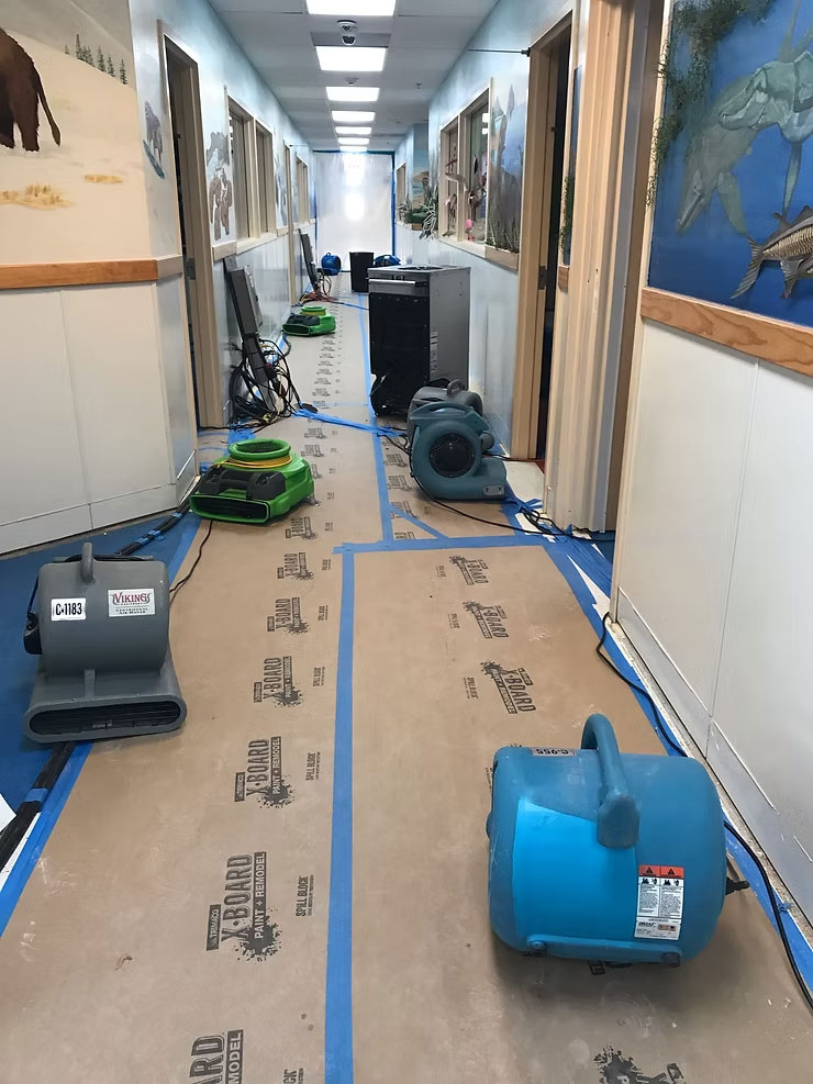 Water Removal Pros's water damage drying equipment services in Belle Chasse, LA