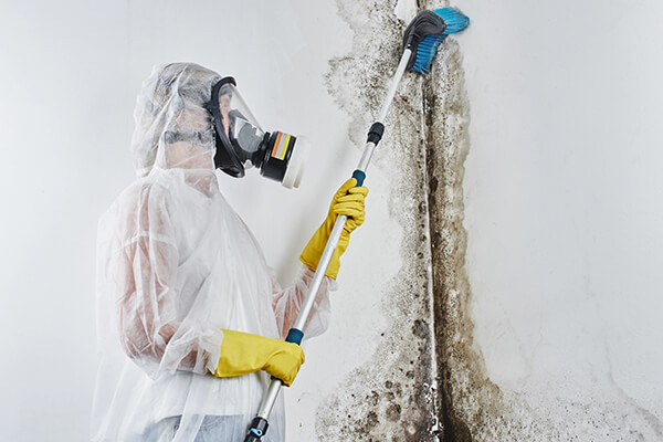 Mold remediation technician wearing protective equipment while cleaning mold growth from an interior wall