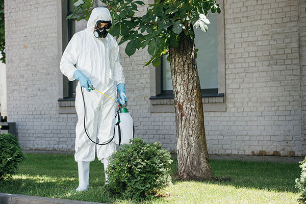 Pest Control in United States