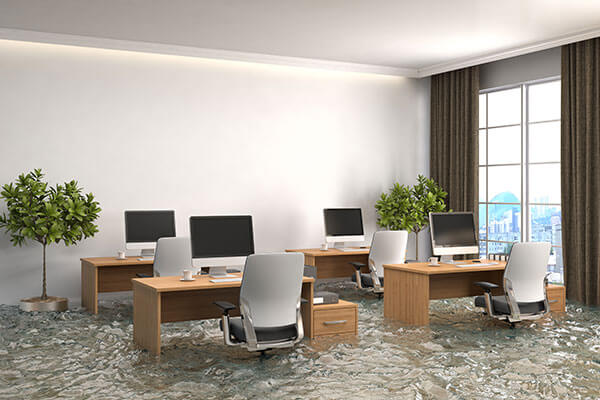 Mitigation in United States